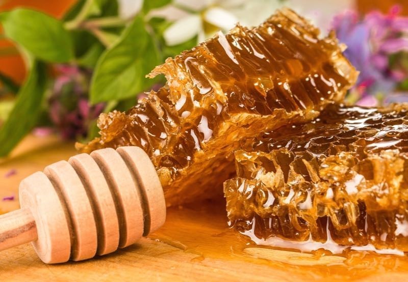  Honey Good For Dogs Glen Baltimore MD